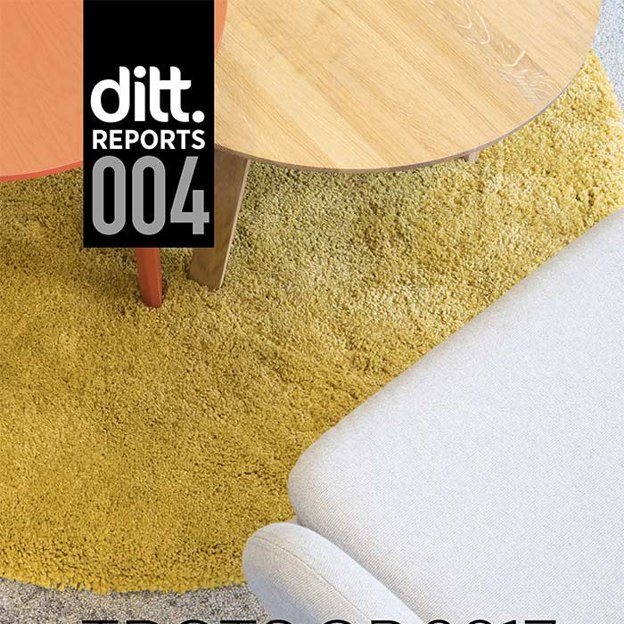 Ditt Report 004