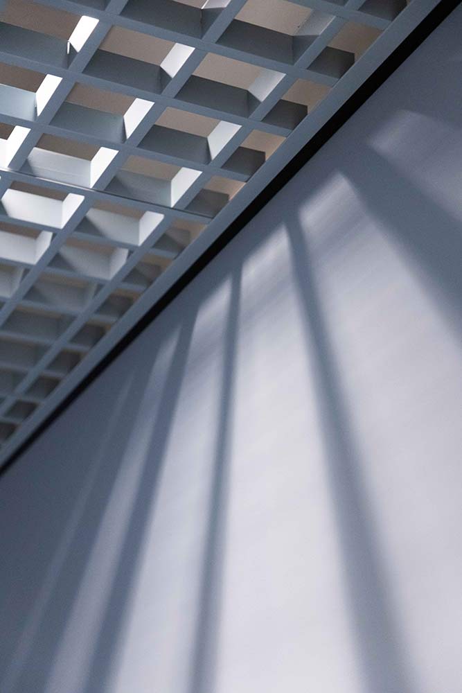 Rapid-Circle-lr-_-35