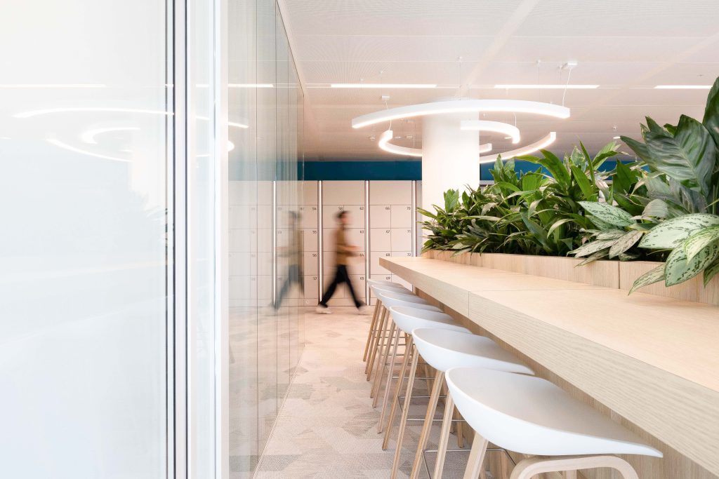 Here website case lr -_